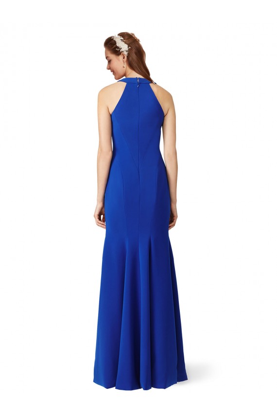 Royal Blue V-Neck Sleeveless Mermaid Formal Evening Gown / Prom Dress / Bridesmaid Dress Townsville